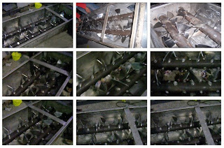 Double Shaft Mixer hasil pekerjaan CV Hanindo